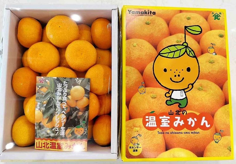 Chunmei_Japan Kochiyama North Greenhouse Mandarin Orange Gift Box_32 pieces - อื่นๆ - วัสดุอื่นๆ 
