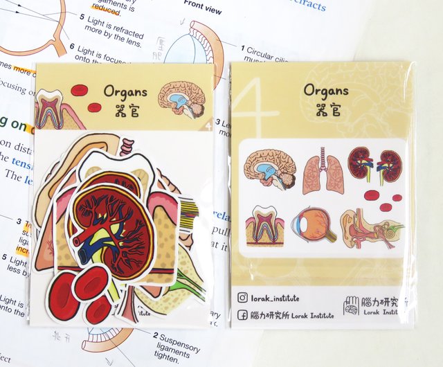 在庫残りわずか EMBRYO ファーブーツ - 靴 靴 ファーブーツ EMBRYO ...