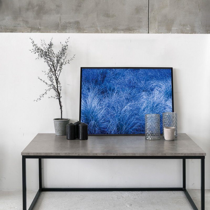 Dusk blue • Goose weed- Autumn, decoration, home, natural scenery, plants - โปสเตอร์ - ผ้าฝ้าย/ผ้าลินิน หลากหลายสี