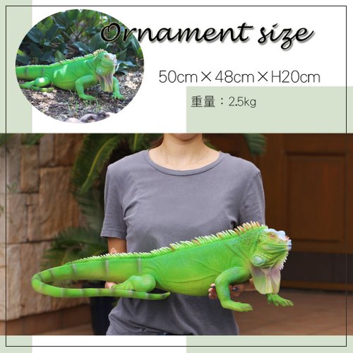 Devalier ca154 [Genuine] Iguana Figurine Iguana Resin Gift Cute Birthday  Gift