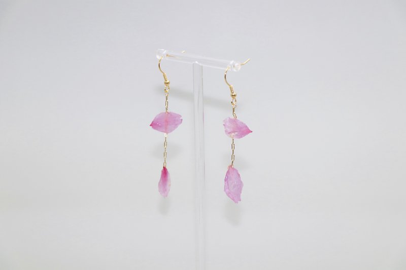 Falling Cherry Blossom - Cherry Blossom Real Flower Earrings Type A - Earrings & Clip-ons - Plants & Flowers Pink