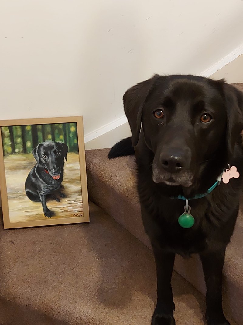 Customized extremely realistic and detailed pet oil painting dog cat bird character gift frameless painting - Customized Portraits - Pigment 