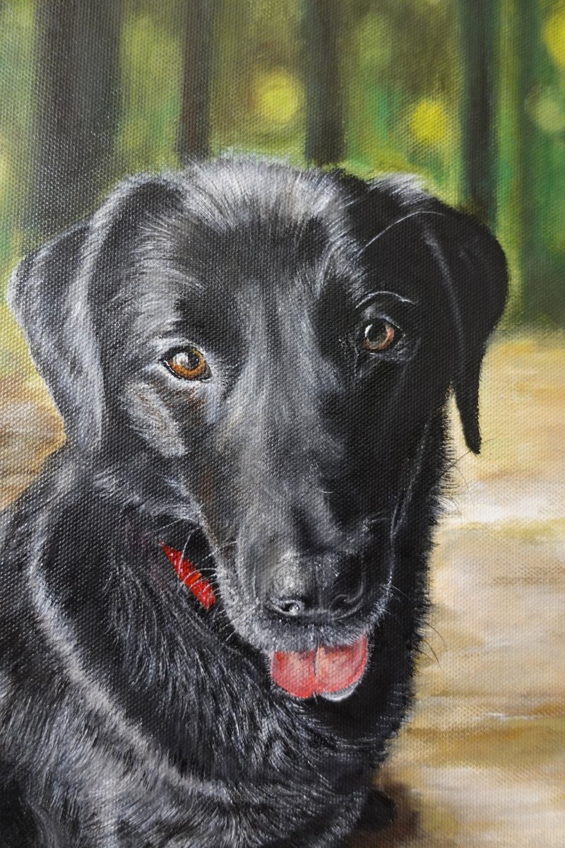 Customized realistic and detailed pet/character portrait oil painting of dog, cat and bird as a souvenir gift - Customized Portraits - Pigment 