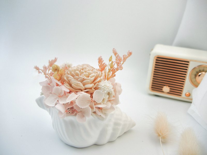 Milk tea pink shell shaped diffuser flower diffuser potted flower diffuser flower immortal flower opening ceremony - Dried Flowers & Bouquets - Plants & Flowers Pink