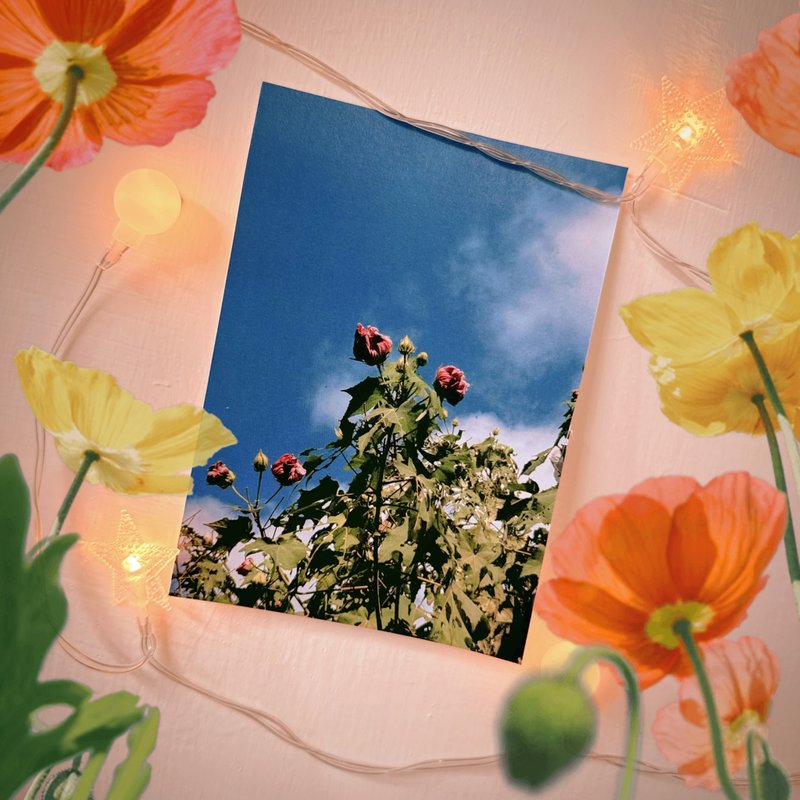 have a nice day 外星人遊台灣明信片/酷卡/貓空花花 - 心意卡/卡片 - 紙 多色