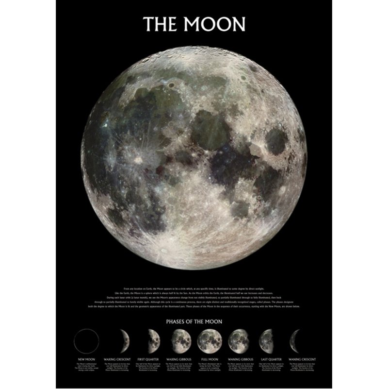 The Moon 月相盈虧 英國進口科學教育海報 月球 月亮 - 海報/掛畫/掛布 - 其他材質 黑色