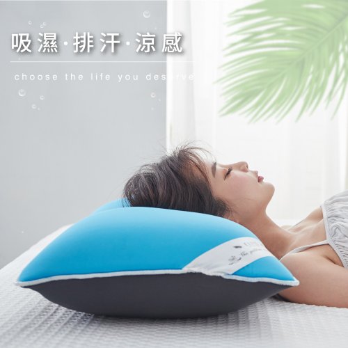 ELVIS 愛菲斯 ELVIS愛菲斯-舒壓排汗涼感四季枕