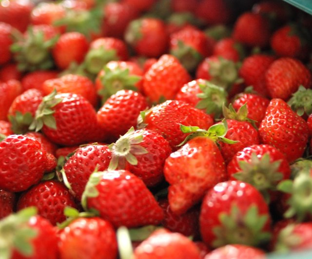 are strawberries good for huskies