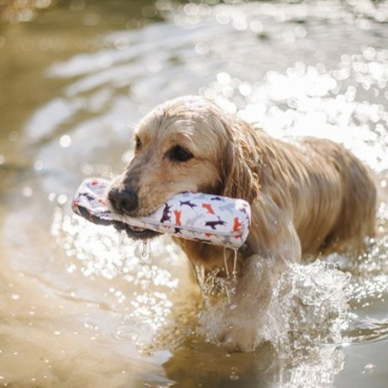 露營野趣 寵物玩具 狗狗 浮水玩具 兩色(S、L) - 貓/狗玩具 - 防水材質 