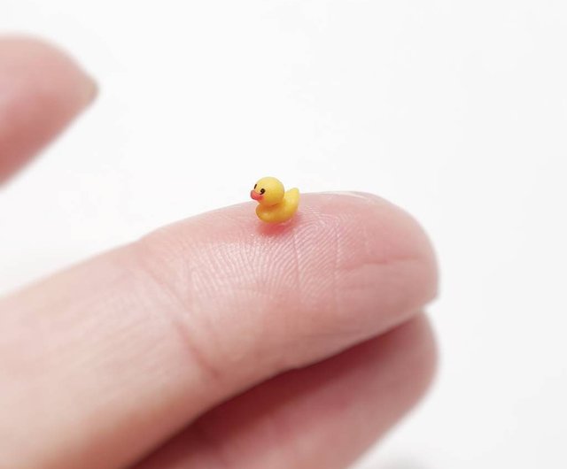 Smallest Duck In The World