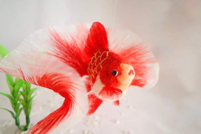 たゆたう金魚モビールL-更紗土佐錦- - 公仔/玩偶 - 羊毛 紅色