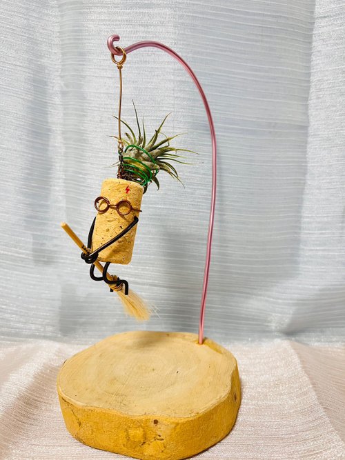 VitaDesign多肉植栽設計 創意空鳳架 哈利波特光輪2000造型 辦公室 桌上展示