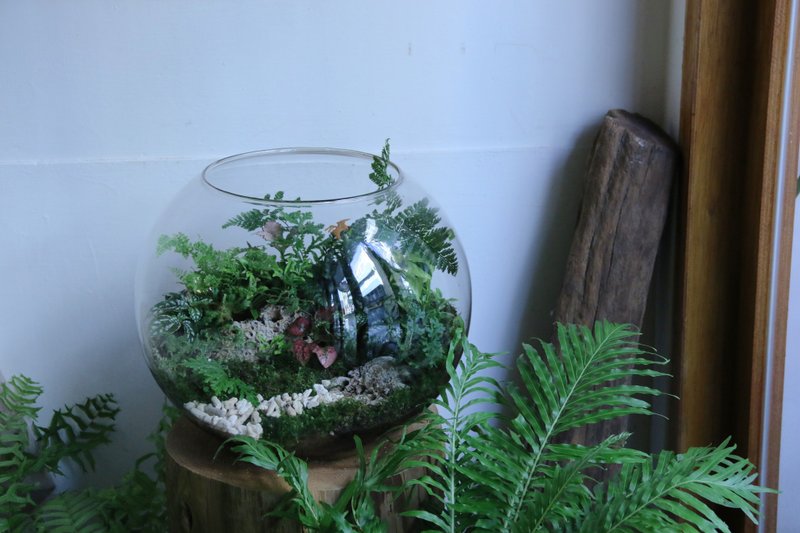 round ecological tank - Plants - Plants & Flowers 