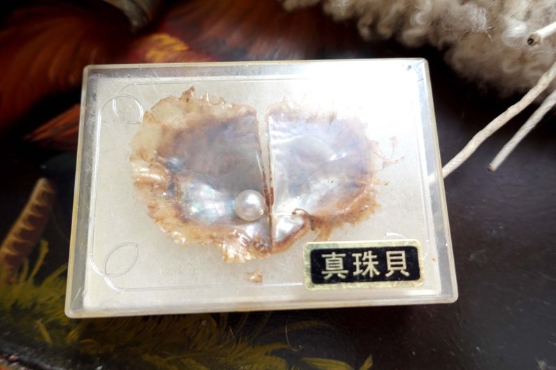 日本中古心型真珍珠貝殼標本擺設 考古科學教學 高級二手古著珠寶 - 擺飾/家飾品 - 水晶 透明