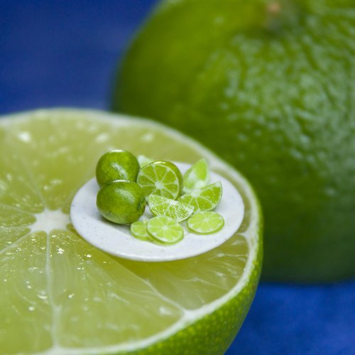 Rina Vellichor Miniatures TUTORIAL Miniature lime cane with polymer clay | PDF + video