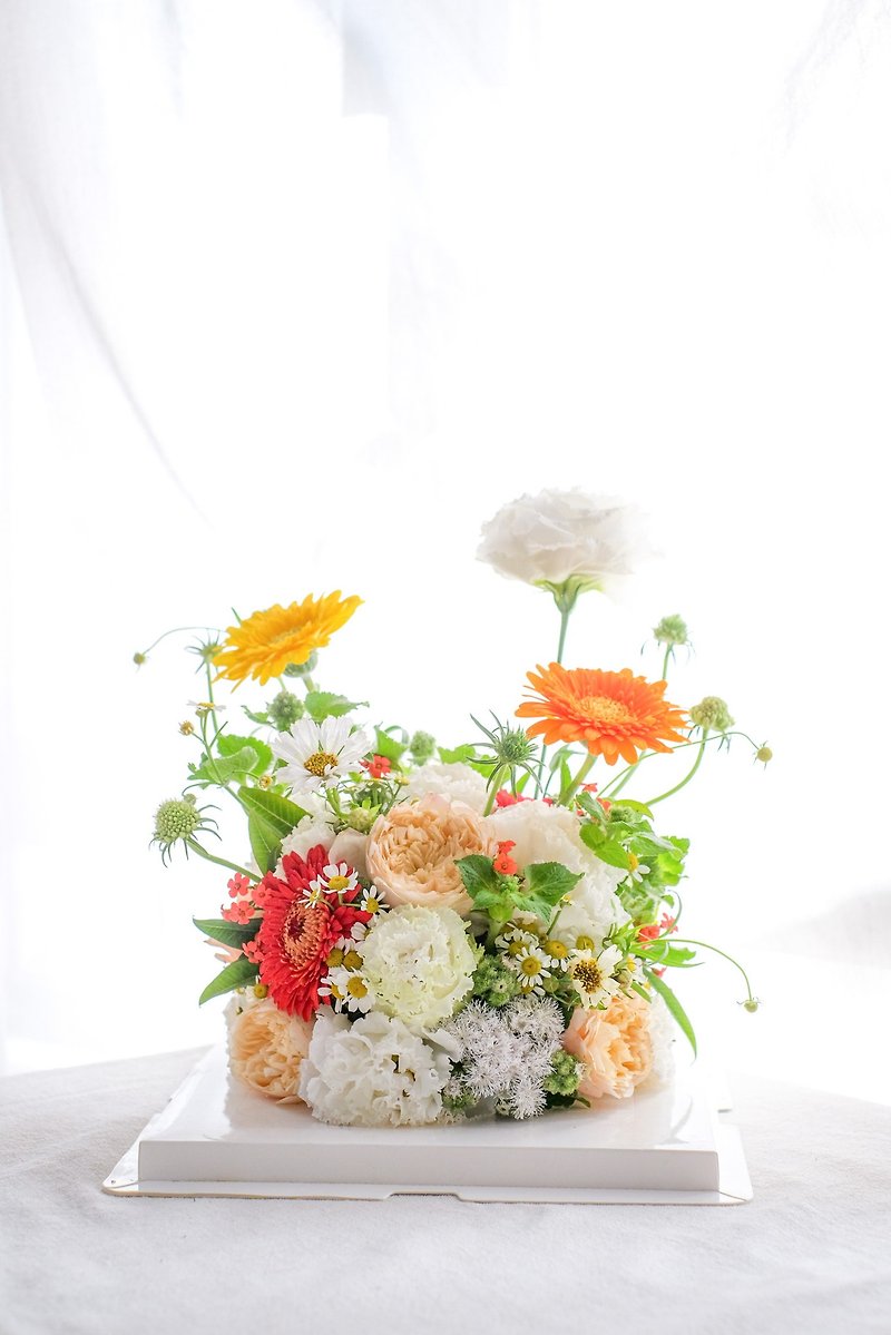 【可訂製】野棉花房 鮮花蛋糕 - 乾燥花/永生花 - 植物．花 多色