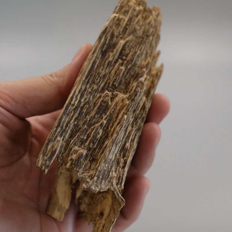 [Top incense raw material] Nha Trang, Vietnam raw agarwood - Fragrances - Wood 