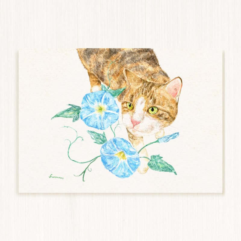 Postcard cat with morning glory - การ์ด/โปสการ์ด - กระดาษ สีน้ำเงิน