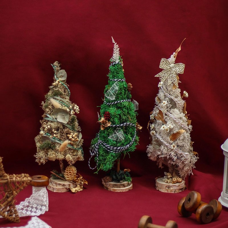 MOSS聖誕樹 花藝手作體驗課程 - 植栽/花藝 - 植物．花 