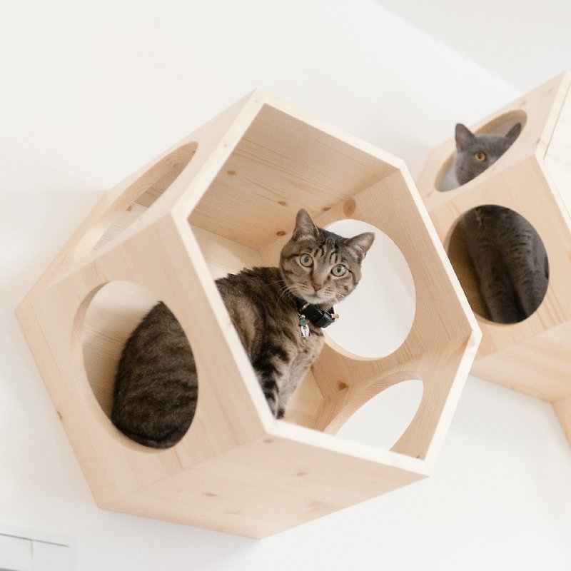 ไม้ ของเล่นสัตว์ สีนำ้ตาล - Hexagon Floating Cat Shelves | BusyCat | MYZOO (sold per each)