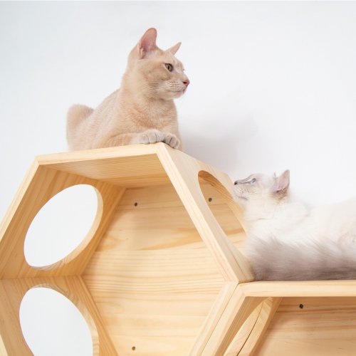 Myzoo キャットステップ　六角ハウス キャットステップ】MYZOO-六角ハウス/ホワイト