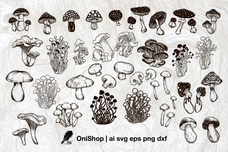 Mushroom SVG bundle, 45 mushrooms, wall decor, engraving clipart, ai eps dxf png - 圖文模板設計 - 其他材質 