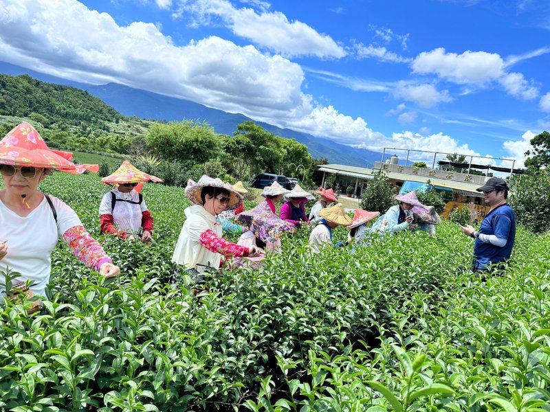 Rural Picket Team-Pure Tea-Chulu Tea School - Day Tours / Tours - Other Materials 