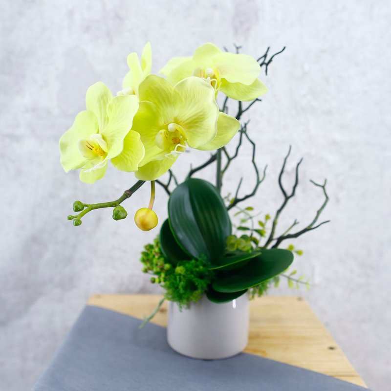green-phalaenopsis-fragrance-flower-arrangement-simulation-flower-gift