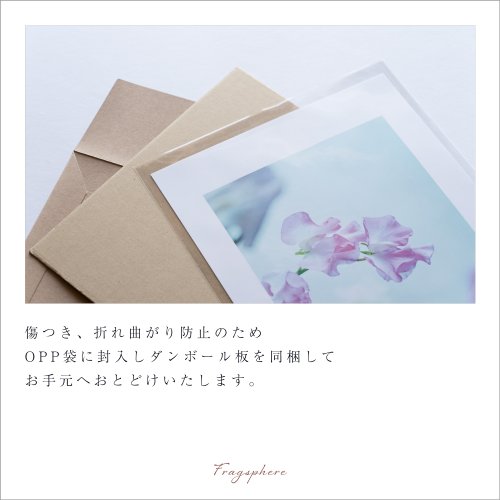 お花A4サイズです。 パネルとサイズ変更【A1】A4サイズご注文頂いたお客様専用ページ