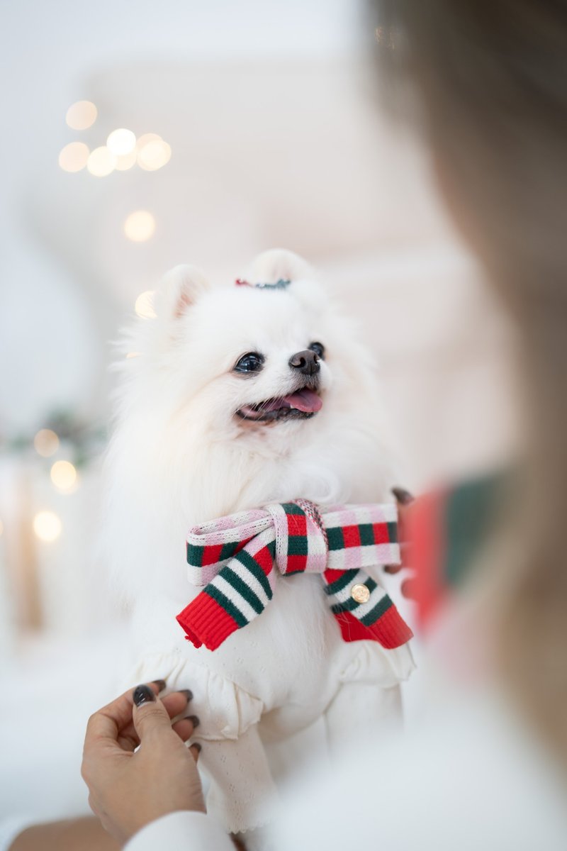 PET SCARF, HUMAN AND PET MATCHING SCARF - ชุดสัตว์เลี้ยง - ไฟเบอร์อื่นๆ สีแดง