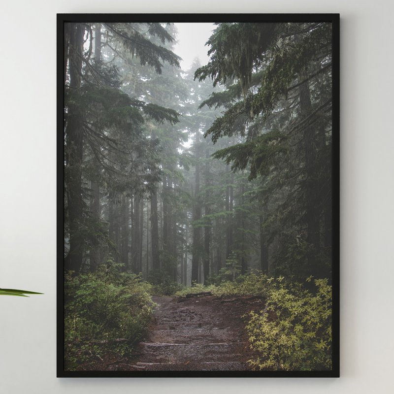 Foggy Mountain Forest Wall Art, Misty Pine Forest Poster, Mountain Pine Forest - Posters - Paper 