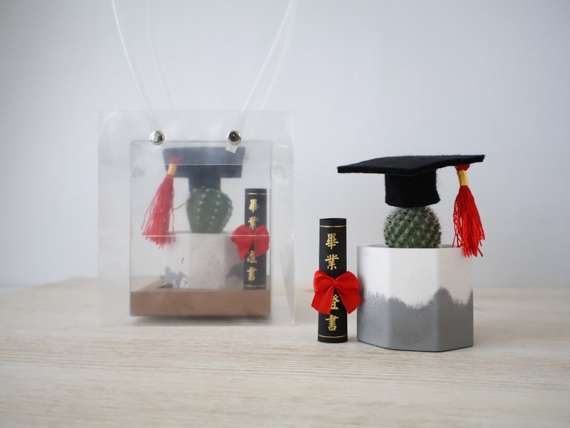 Graduation version small octagonal Cement pot/succulents/cactus graduation gift - Plants - Cement 