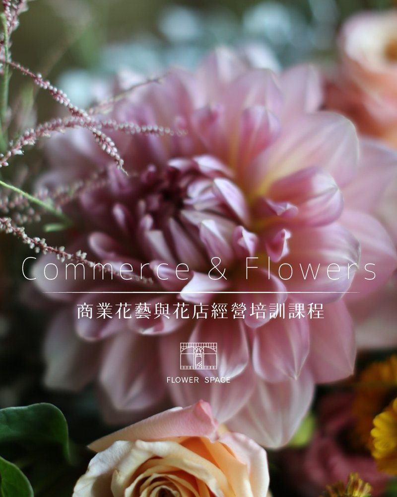 商業花藝與花店經營培訓課程 - 植栽/花藝 - 植物．花 
