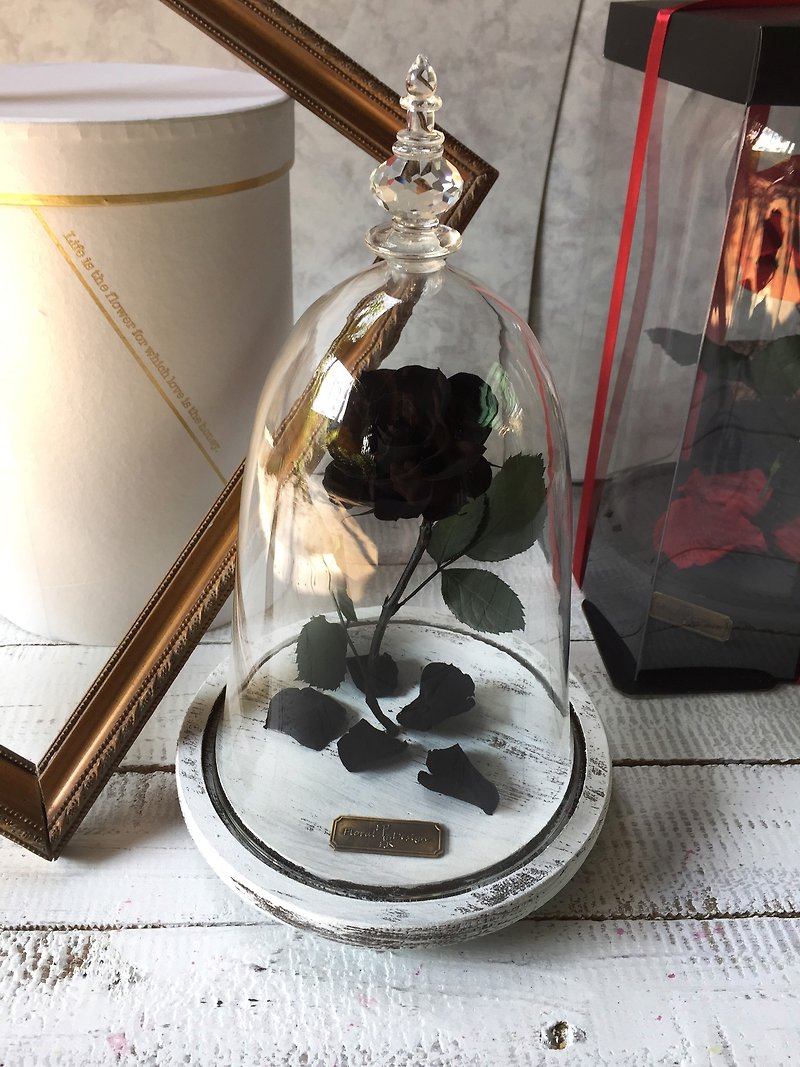 Rose Mother's Day Valentine's Day Immortal Flower Beauty Beast Rose Impression FloralDesign - Items for Display - Plants & Flowers Black