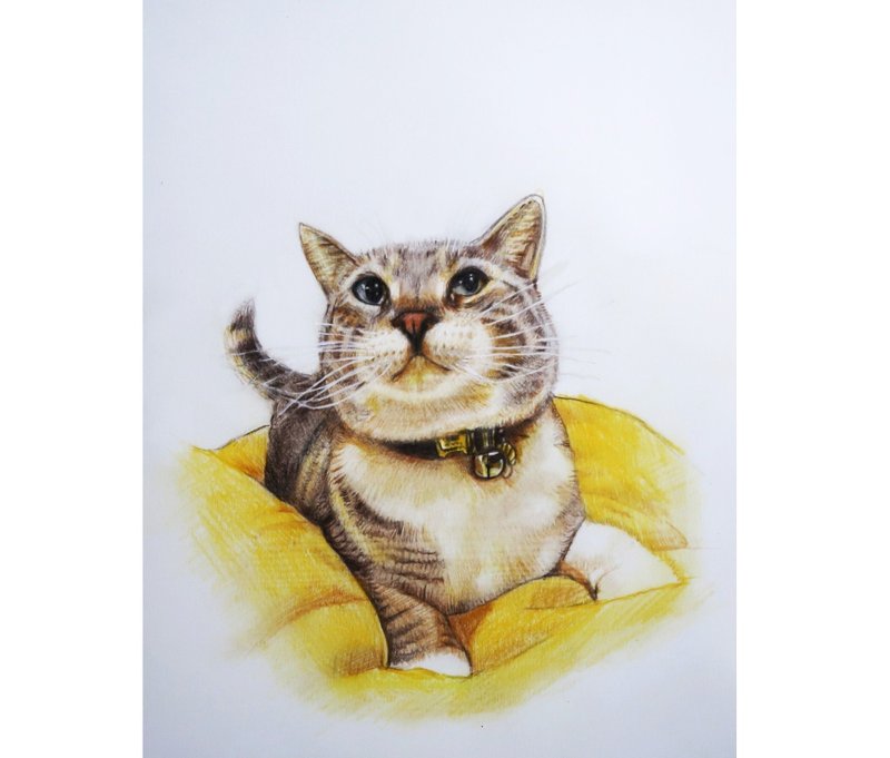 1.pet art print (picture of this link)   2.pet custom drawing 3. timelapse video - ภาพวาดบุคคล - กระดาษ หลากหลายสี