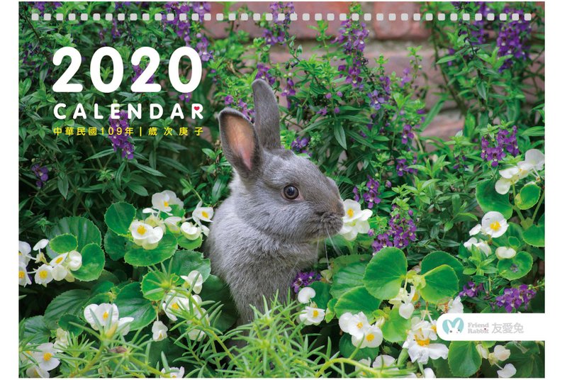 2020兔子攝影桌曆 - 日曆/月曆/年曆 - 紙 白色
