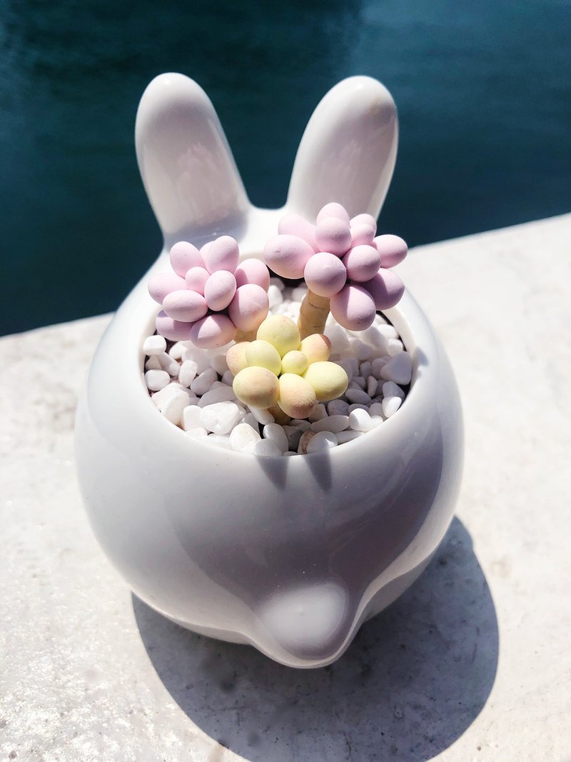 兔子造型花盆—桃之卵 - 擺飾/家飾品 - 黏土 