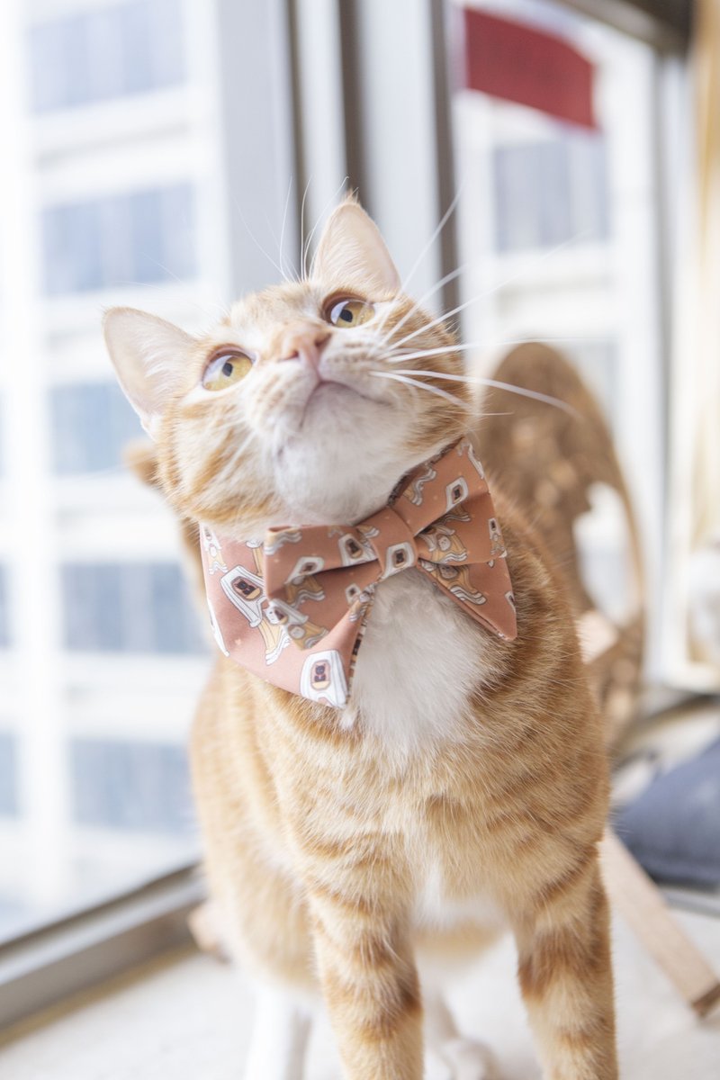 Pets Collar with Bowties with Cats Pattern in skin color - ปลอกคอ - ไฟเบอร์อื่นๆ สีกากี