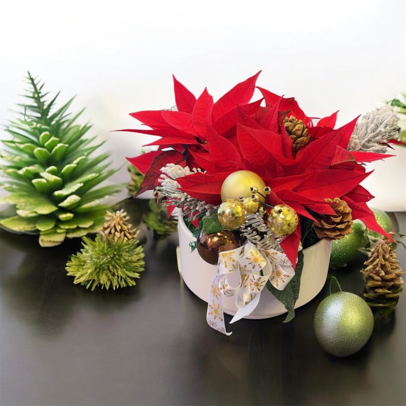 Joyful Christmas: Fresh Potted Plant Arrangement for the Holiday Season - Plants - Plants & Flowers 