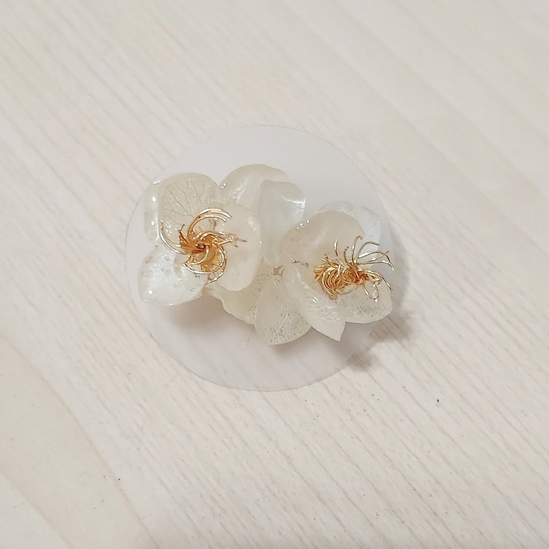 Natural preserved flowers and foliage earring  ( white )) - Earrings & Clip-ons - Plants & Flowers White