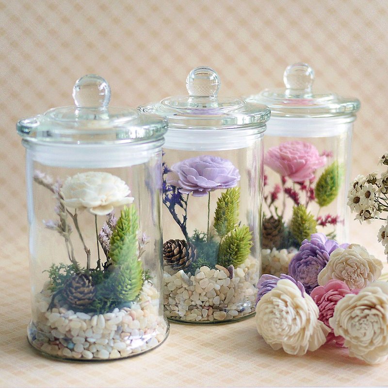 Trivia-Five-color sun rose glass bottle with lid, dried flowers, diffused flowers, buy 3 pieces, please choose home delivery - ช่อดอกไม้แห้ง - พืช/ดอกไม้ หลากหลายสี
