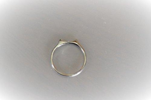 titanium ring・チタンリング・何か小さい耳・8.5号 - ショップ ねこ