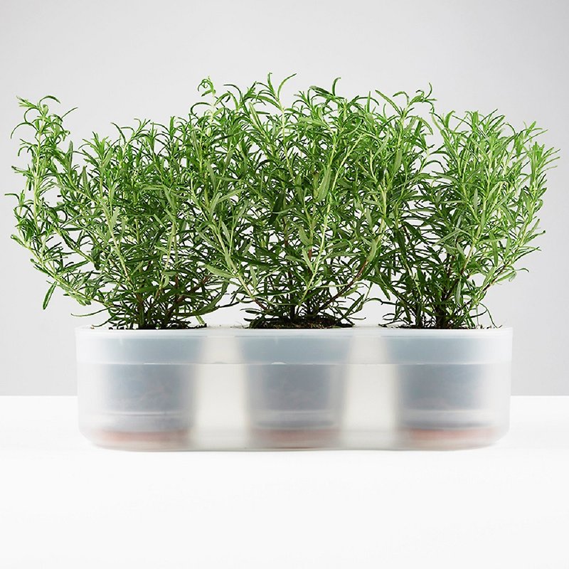 栽培ポット自家散水レイジーフラワースリーインワンポット - 観葉植物 - プラスチック 透明