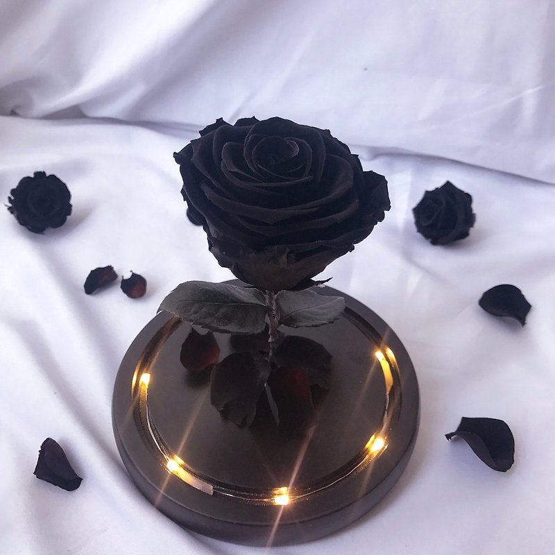 典藏黑玫瑰-質感黑底座 / 美女野獸燈座 / 黑玫瑰 / flora / 婚禮小物 - 植栽/盆栽 - 植物．花 黑色