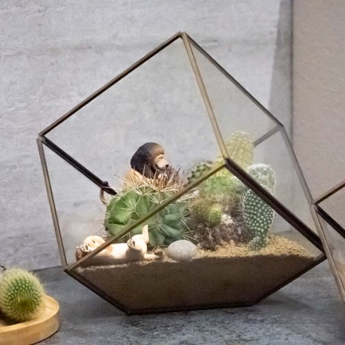 微景設計 大建築多肉植物