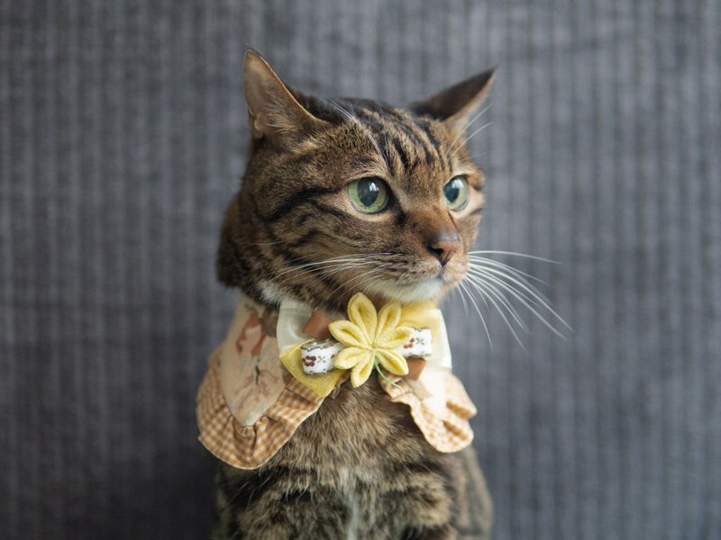 [Red leaves・もみじ]Pet scarf cat/dog calico flower maple leaf scarf-yellow - Collars & Leashes - Cotton & Hemp Yellow