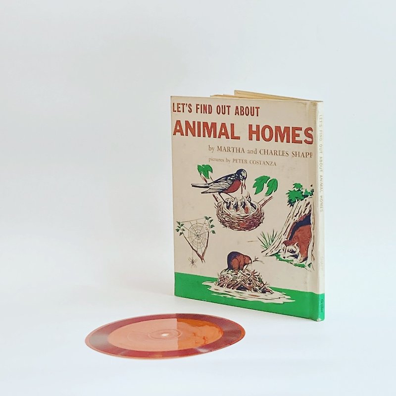 LET'S FIND OUT ABOUT ANIMAL HOMES - Indie Press - Paper 