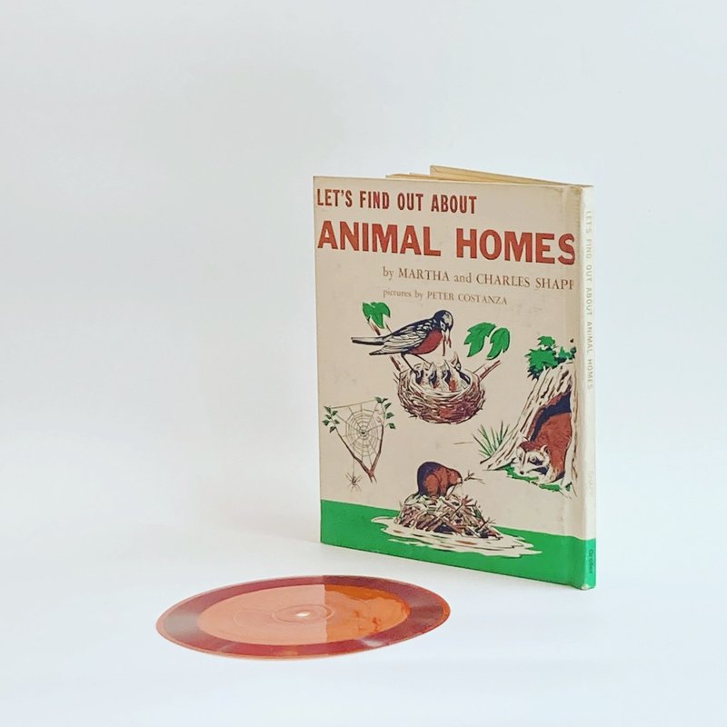 LET'S FIND OUT ABOUT ANIMAL HOMES - 刊物/書籍 - 紙 
