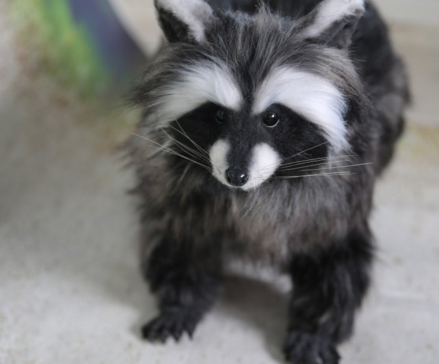 Realistic stuffed clearance raccoon