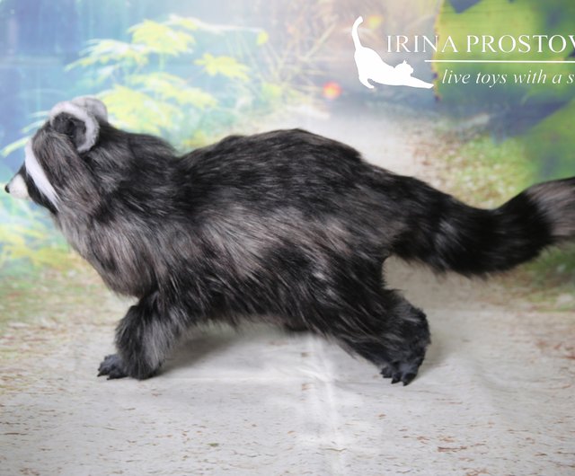 アライグマのリアルなおもちゃ。ぬいぐるみ。ポーズ可能なアート